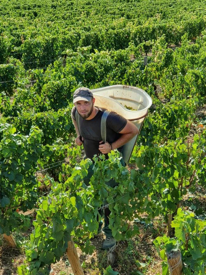 شقة La Fruitiere Chaudenay المظهر الخارجي الصورة