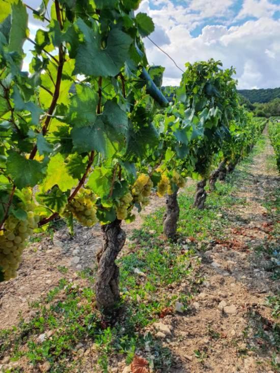 شقة La Fruitiere Chaudenay المظهر الخارجي الصورة