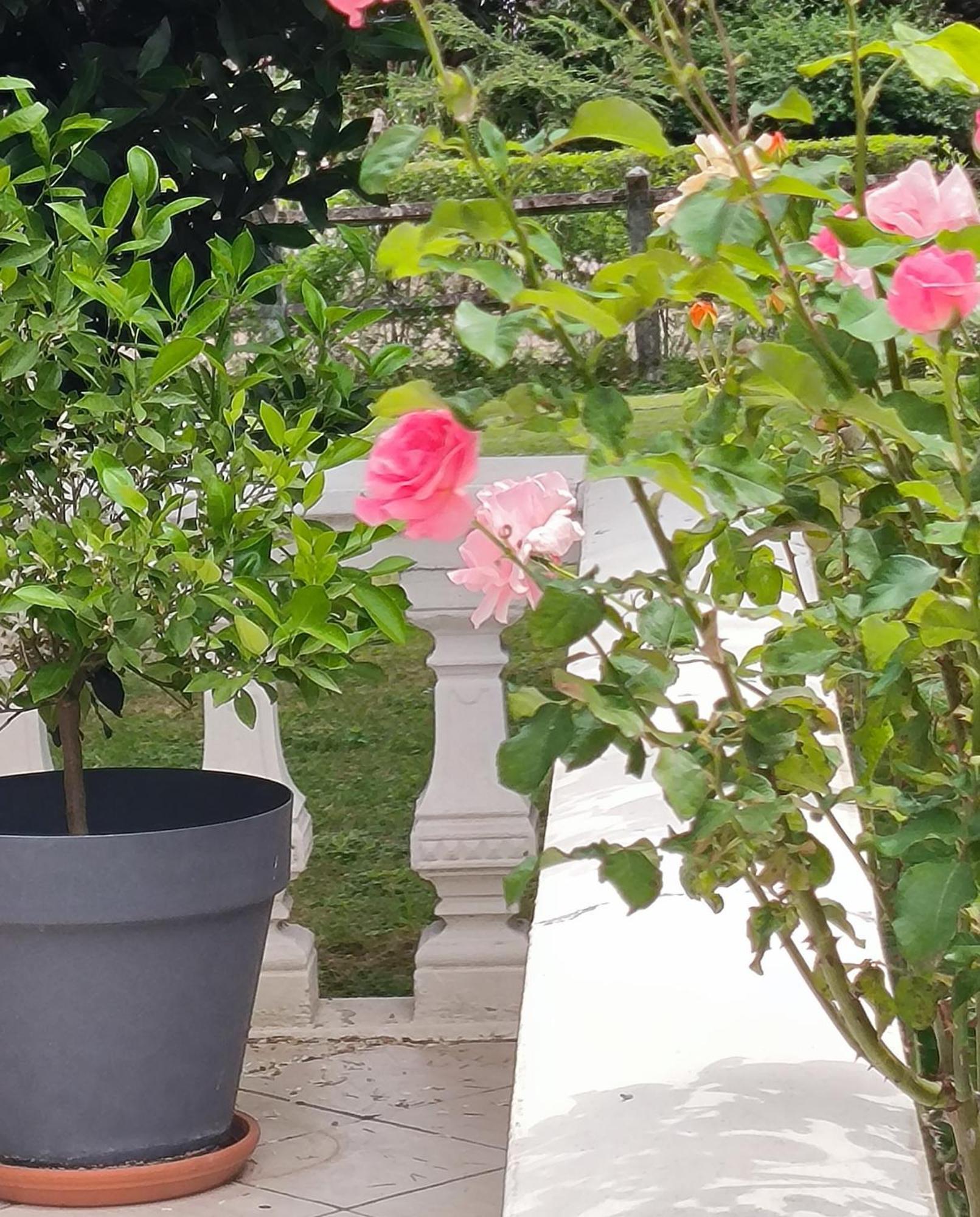 شقة La Fruitiere Chaudenay المظهر الخارجي الصورة